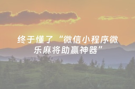 终于懂了“微信小程序微乐麻将助赢神器”（小程序辅助软件)