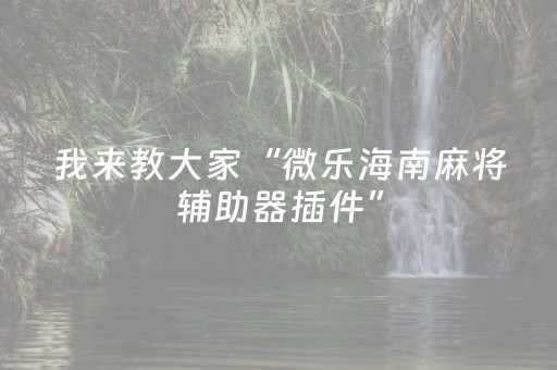 我来教大家“微乐海南麻将辅助器插件”（提高胜率技巧)
