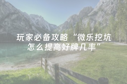 玩家必备攻略“微乐挖坑怎么提高好牌几率”（专用神器下载)