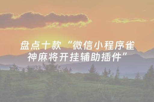 盘点十款“微信小程序雀神麻将开挂辅助插件”（辅助器下载)