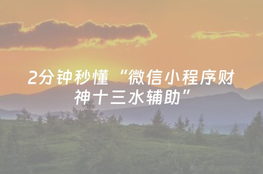 2分钟秒懂“微信小程序财神十三水辅助”（辅助器插件)