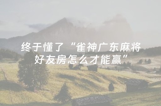 实测结果“微信三公点数控制（专用辅牌神器免安装）