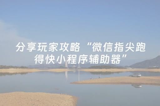必看教程！“微乐河南跑得快专用神器”（详细透视教程）-哔哩哔哩