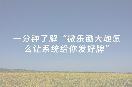 一分钟了解“微乐锄大地怎么让系统给你发好牌”（小程序控牌器)