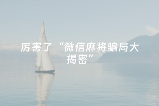 厉害了“微信麻将骗局大揭密”（攻略插件)