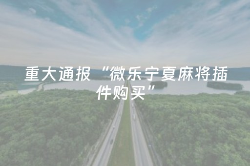 重大通报“微乐宁夏麻将插件购买”（充会员胜率高)