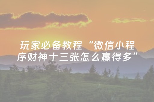 玩家必备教程“微信小程序财神十三张怎么赢得多”（免费辅助)
