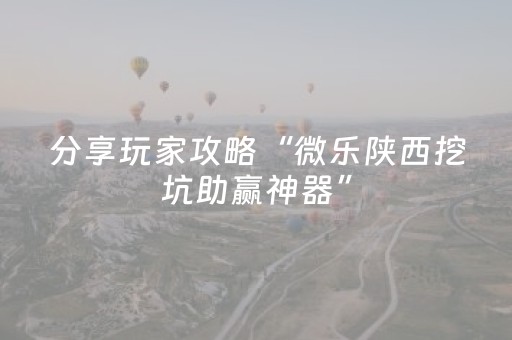 分享玩家攻略“微乐陕西挖坑助赢神器”（外辅工具)