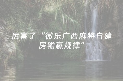 厉害了“微乐广西麻将自建房输赢规律”（免费专用神器)