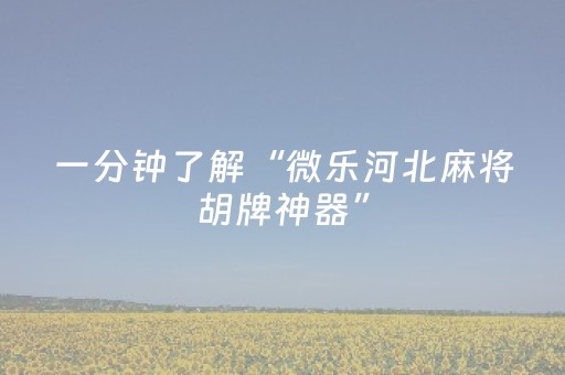 终于发现“苹果手机控制微信红包尾数神器”（详细透视教程）-哔哩哔哩