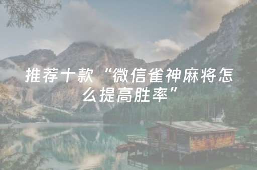 教程辅助“手机打麻将作蔽器具（专用辅牌神器免安装）