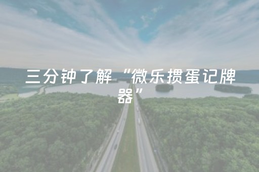 分享辅助“开心十三张开挂视频（专用辅牌神器免安装）