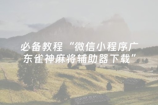玩家实测“手机十三张出老千有哪些套路（专用辅牌神器免安装）