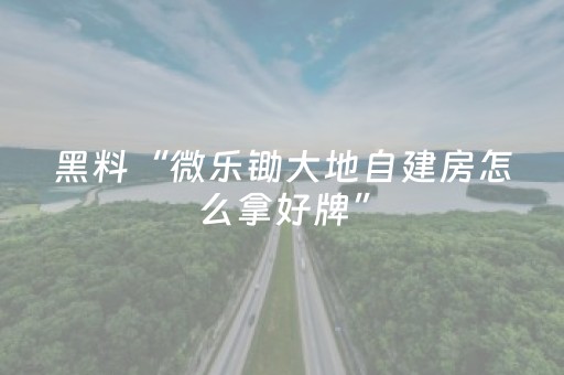 分享辅助“微乐手机麻将助赢神器购买（专用辅牌神器免安装）