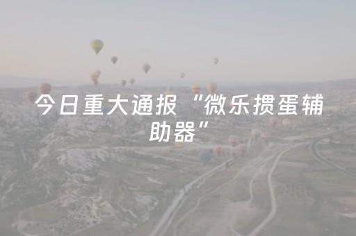 实测结果“微乐海南麻将专用神器（专用辅牌神器免安装）