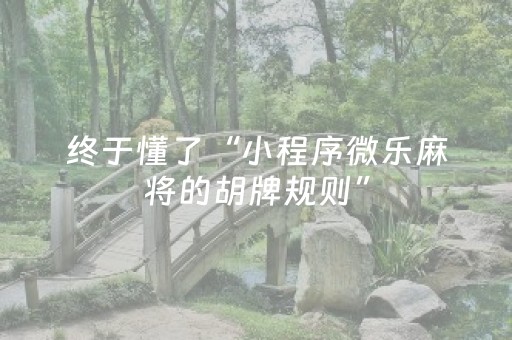 终于懂了“小程序微乐麻将的胡牌规则”（提高胜率软件)