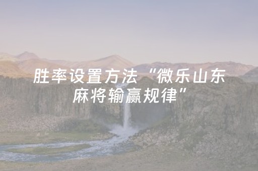 胜率设置方法“微乐山东麻将输赢规律”（神器最新免费)