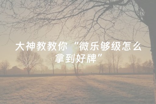大神教教你“微乐够级怎么拿到好牌”（有什么规律)