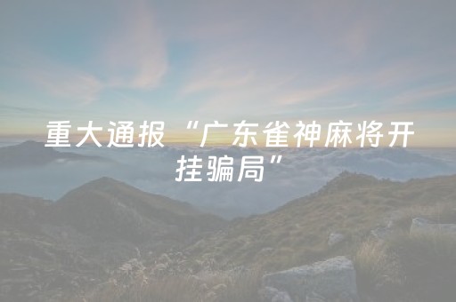 重大通报“广东雀神麻将开挂骗局”（外辅工具)