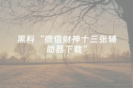 黑料“微信财神十三张辅助器下载”（必赢神器免费安装)