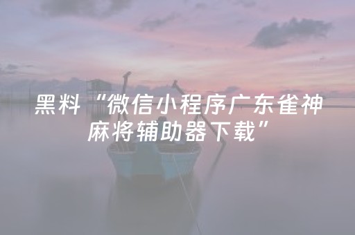 黑料“微信小程序广东雀神麻将辅助器下载”（装挂怎么安装)