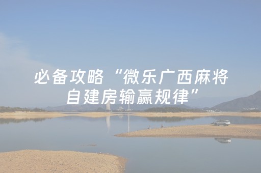 必看教程“怎么让程序麻将机失灵”（详细透视教程）-哔哩哔哩