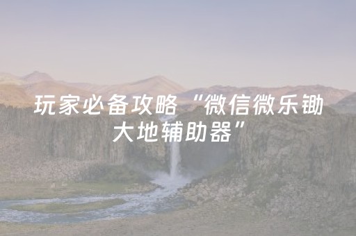 玩家必备攻略“微信微乐锄大地辅助器”（怎么调胜率)