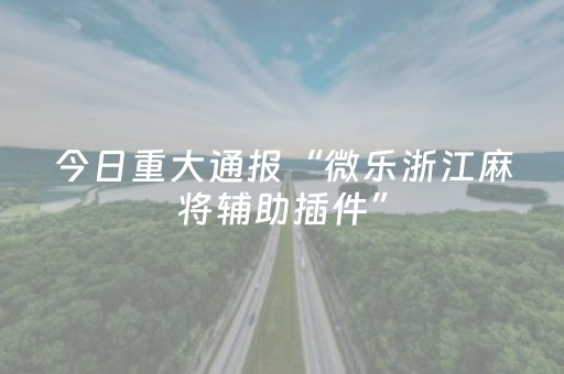 分享辅助“微乐胜率设置代码（助赢神器通用版）
