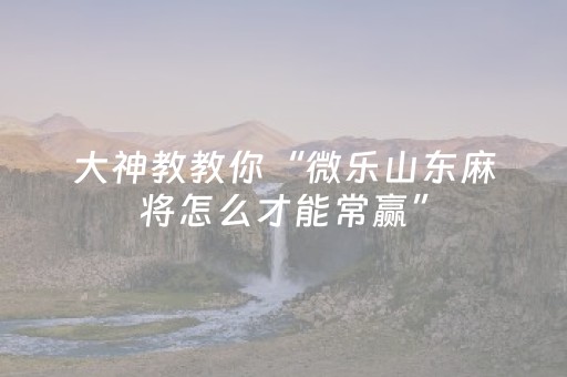 玩家必看攻略“陕麻圈辅助软件”（详细透视教程）-哔哩哔哩