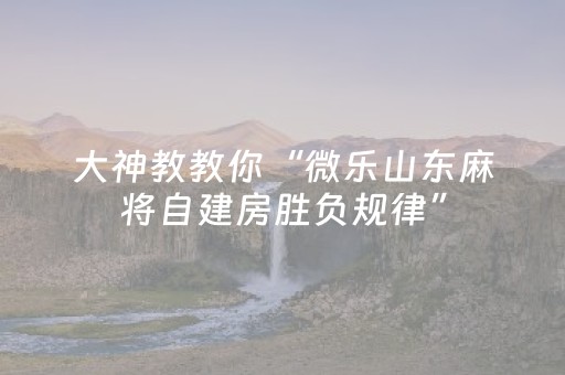 实测结果“如何安装微信红包埋雷辅助器”（详细透视教程）-哔哩哔哩