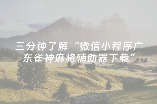 三分钟了解“微信小程序广东雀神麻将辅助器下载”（自建房胜负规律)
