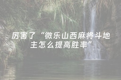 厉害了“微乐山西麻将斗地主怎么提高胜率”（专用神器下载)