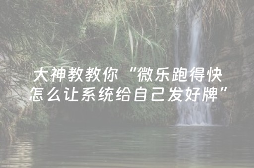 大神教教你“微乐跑得快怎么让系统给自己发好牌”（做弊器软件下载)