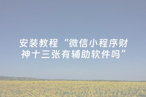 安装教程“微信小程序财神十三张有辅助软件吗”（有什么规律)