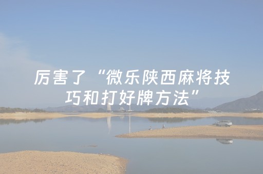 厉害了“微乐陕西麻将技巧和打好牌方法”（充值会提高胜率么)