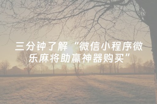 三分钟了解“微信小程序微乐麻将助赢神器购买”（辅牌器插件购买)