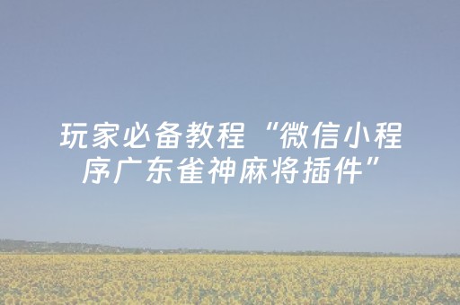 玩家必备教程“微信小程序广东雀神麻将插件”（软件出售)