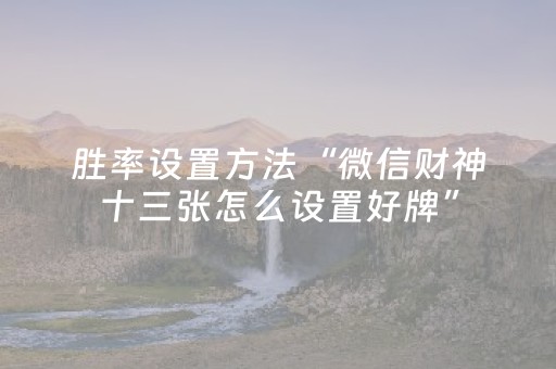 必看教程“微乐游戏有挂吗（专用辅牌神器免安装）