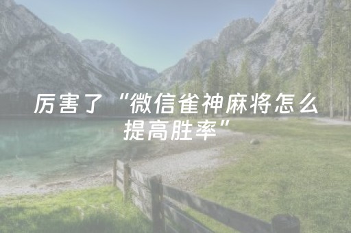 厉害了“微信雀神麻将怎么提高胜率”（自建房胜负规律)