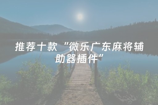 推荐十款“微乐广东麻将辅助器插件”（技巧和打好牌方法)