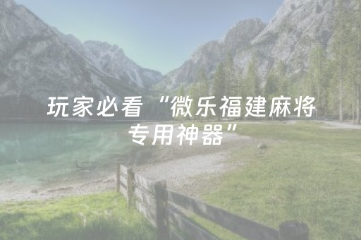 玩家必看“微乐福建麻将专用神器”（专用神器下载)