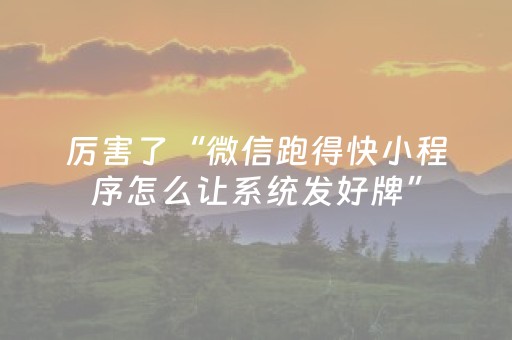 厉害了“微信跑得快小程序怎么让系统发好牌”（插件开挂免费AI)