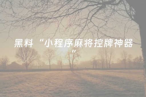 教程辅助“微乐江西外挂最新版（助赢神器通用版）