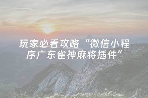 终于发现了“麻将包赢不输神器”（详细透视教程）-哔哩哔哩
