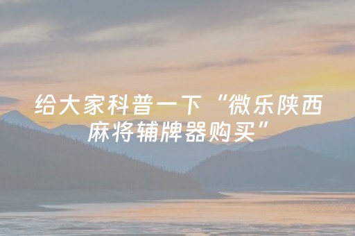 玩家必备教程“小程序麻将神器（助赢神器通用版）