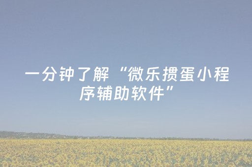 我来教大家“微乐广东麻将如何赢的秘诀（专用辅牌神器免安装）