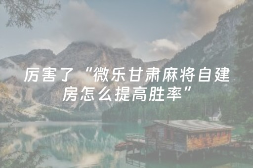 分享辅助“微乐湖南麻将输赢规律（专用辅牌神器免安装）