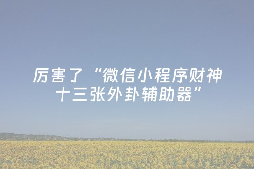 厉害了“微信小程序财神十三张外卦辅助器”（输赢跟id号有关系吗)