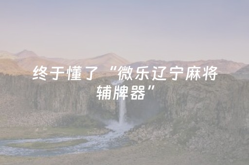 实测教程“广东雀神辅助器插件（助赢神器通用版）