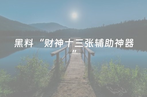 玩家实测“雀神辅助器免费版ios（专用辅牌神器免安装）